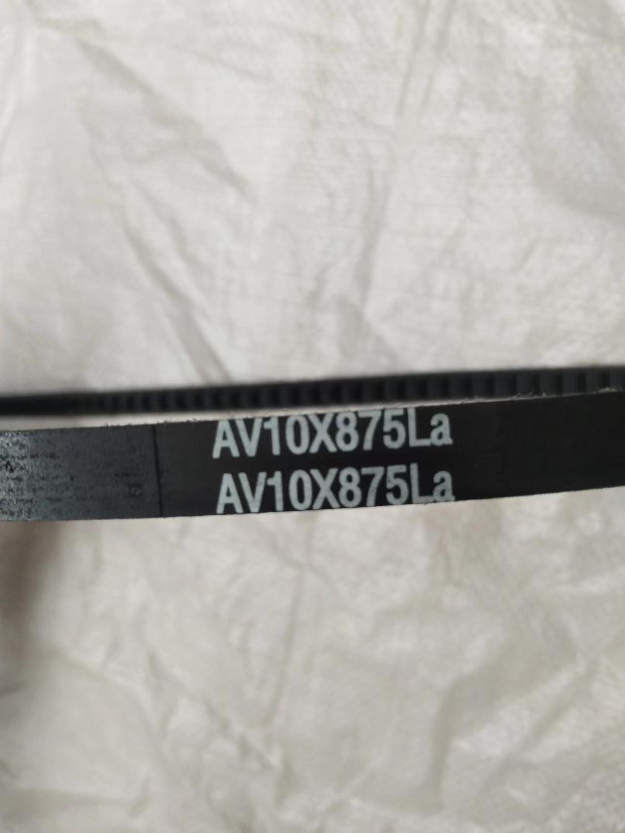 BELT 875mm.jpg